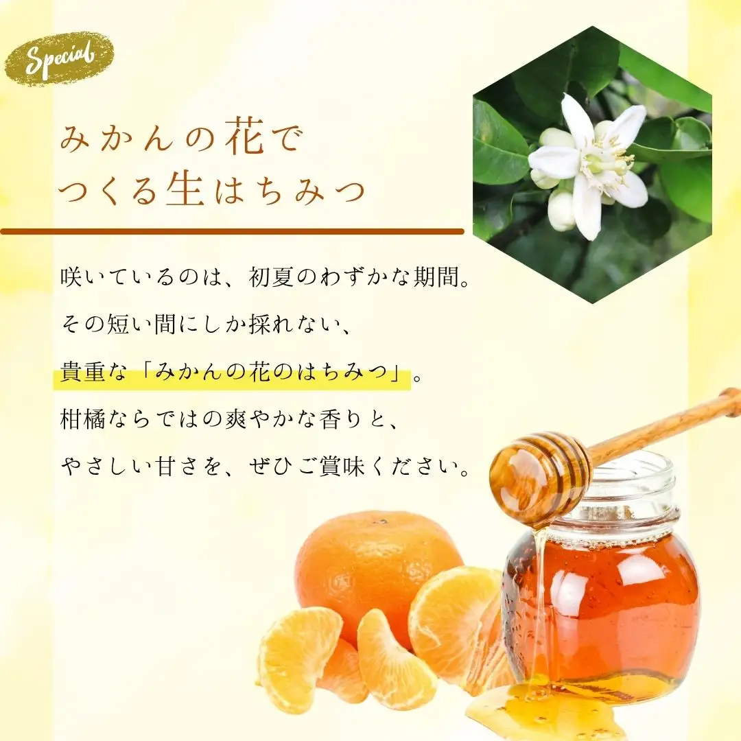 【みかんの花の蜂蜜】国産天然はちみつ FUKUBEE ハニー瓶 130g 3本セット 蜂の幸せを考える養蜂家【希少 蜂蜜 はちみつ ハチミツ 百花蜜 非加熱 ストレスフリー 養蜂 レンゲ アカシア 桜 フジ 花 ミツバチ 広島県 竹原産 国産】