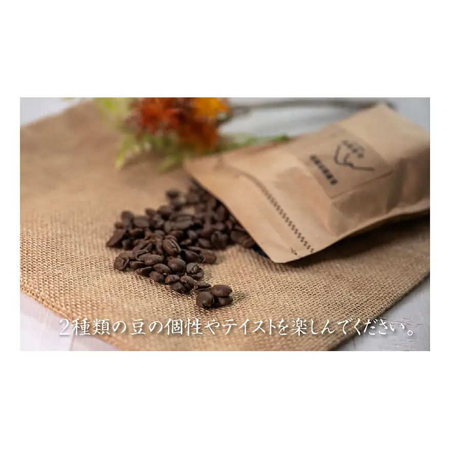 コーヒー豆 自家焙煎 2種飲み比べ レギュラー コーヒー豆【計600g(各100g×3袋)】