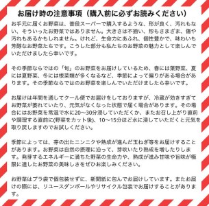かたもとオーガニックファームの農業研修生が育てたお野菜セット 野菜