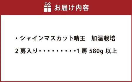 【無加温栽培（晴王）】岡山県産シャインマスカット 晴王 2房入り（1房580g以上）【2026年9月上旬～10月下旬 発送予定】【シャインマスカット シャイン マスカット 人気フルーツ 岡山フルーツ おすすめフルーツ 岡山県 倉敷市】