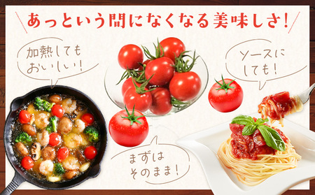 トマト 華こまち フルーツトマト 200g×4パック《11月上旬-6月上旬頃出荷予定》 