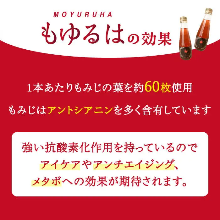 もゆるはもみじ スパークリング 10本セット【もみじかえで研究所】 もみじ サイダー 炭酸 スパークリング サワー 炭酸割り [TCY001]