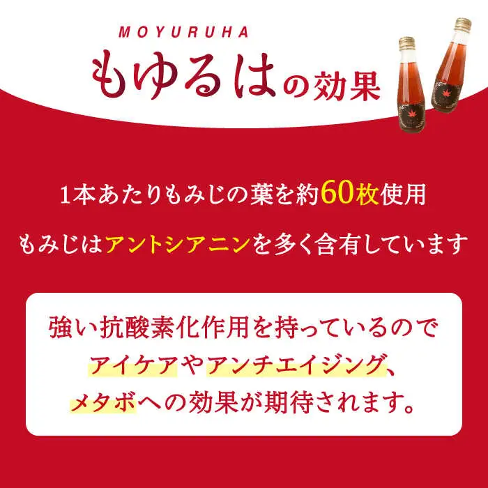 もゆるは もみじスパークリング 5本＋もみじ茶 1パック セット【もみじかえで研究所】 もみじ サイダー 炭酸 スパークリング お茶 ティー ティータイム セット [TCY004]