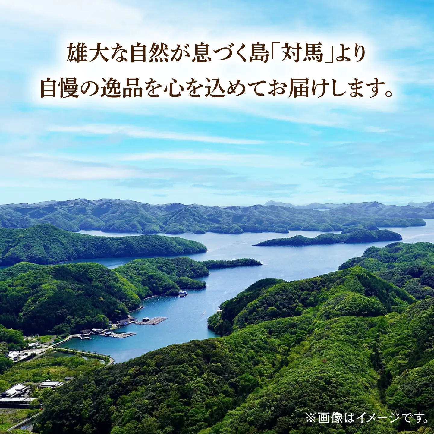 天然 岩ガキ 3kg  [WAD001] 岩がき 牡蠣 海鮮 魚介 牡蠣 かき カキ