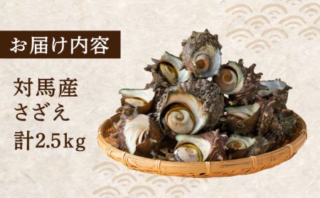 荒磯 さざえ 2.5 kg天然 サザエ 国産海鮮 [WAD006] 栄螺 BBQ 壺焼き 浜焼き
