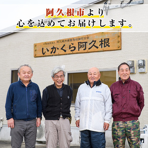 阿久根産鹿肉モモブロック(約1kg～1.2kg)煮込み料理 バーベキュー BBQ ブロック肉 ジビエ しか肉 もみじ もみじ鍋 低カロリー 高たんぱく ダイエット 鉄分 山の幸【一般社団法人いかくら阿久根】akn076-01