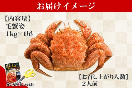 ボイル毛蟹姿 1kg 食べ方ガイド・専用ハサミ付 カニ かに 蟹 海鮮 送料無料 北海道 弟子屈町 【廃盤】404