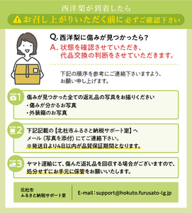 【2026年発送】極上品　大玉西洋梨約2.8㎏（4～11個） [h039]