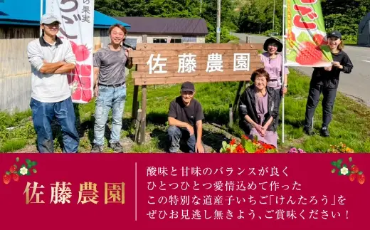 【2027年5月上旬～6月上旬発送予定】いちご「けんたろう」2トレーセット 