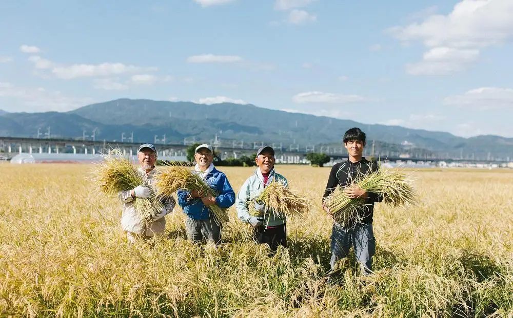 【令和7年産】福岡県産 米 夢つくし 10kg セット ( 5kg×2袋 ) | 米 お米 こめ 白米 精米 ライス ブランド米 美味しい ご飯 おいしい ごはん