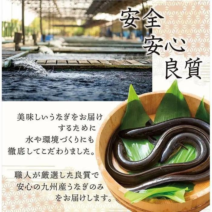 国産 うなぎ蒲焼 6尾 約1050g