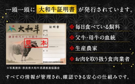 大和牛 すき焼き ＆ 焼肉 セット 800g(スライス、焼肉用各400g) 牛肉 G-13