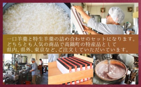＜特生羊羹3個、一口羊羹5本セット＞翌月末迄に順次出荷【c973_iy_x1】