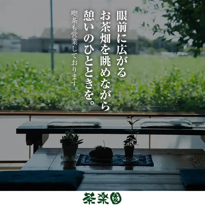 B0-203 霧島茶のどかな一日2種セットBコース(合計990g)【茶楽園】霧島市 日本茶 お茶 煎茶 緑茶 浅蒸し茶 リーフ茶 茶葉