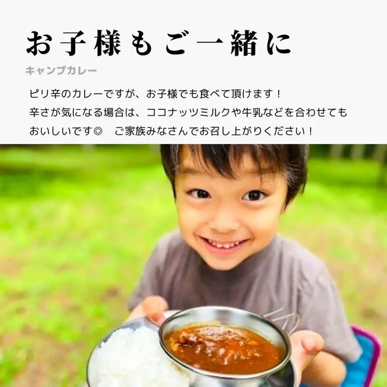 【キャンプカレー】大容量300gのレトルトカレー10食セット！ホロホロの大きな手羽元が2本も入って食べ応え抜群！