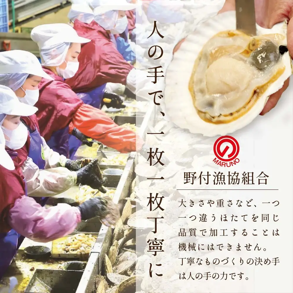 【ふるなびWeek対象】北海道 野付産 冷凍ホタテ 貝柱 特大 ホタテ500g FN-Limited