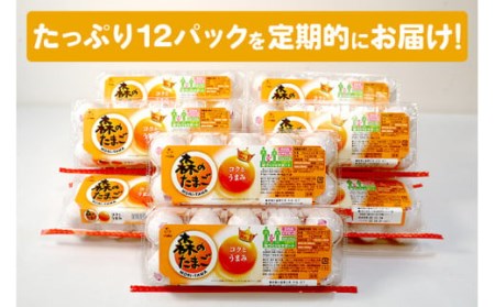 森のたまご（白） 120個12ヶ月定期便 10個入り×12パック もりたま 新鮮 鶏卵 玉子 高級 ブランド卵 卵かけご飯 卵かけごはん たまごかけご飯 卵焼き たまご焼き 玉子焼き 目玉焼き ゆで卵 健康 栄養 DHA ビタミンE 安心安全 コクとうまみが愛されるロングセラーブランド・森のたまごを12か月間・毎月お届け 22-I