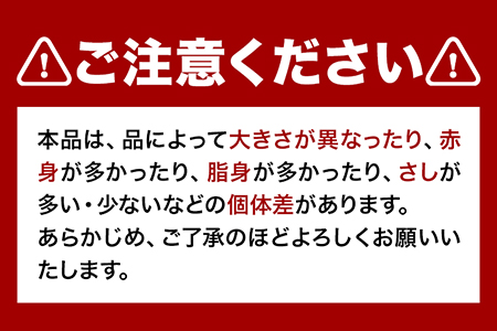 馬ひも 馬刺し用 320g(80g×4袋) 《30日以内に出荷予定(土日祝除く)》 熊本県 玉東町 肉 馬ひも 馬肉 ｜人気馬刺し  人気返礼品 熊本馬刺し