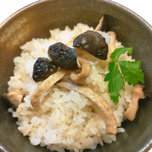 茨城県産　松きのこ400ｇ 【茨城県共通返礼品 水戸市】