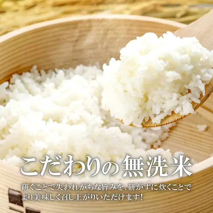 さんべ浮布米（無洗米）定期便（8kg×3回コース）【令和6年産 2024年産 定期便 3回 特別栽培米 コシヒカリ 無洗米 8kg×3回 合計24kg 島根県産 大田市産 米 減農薬】