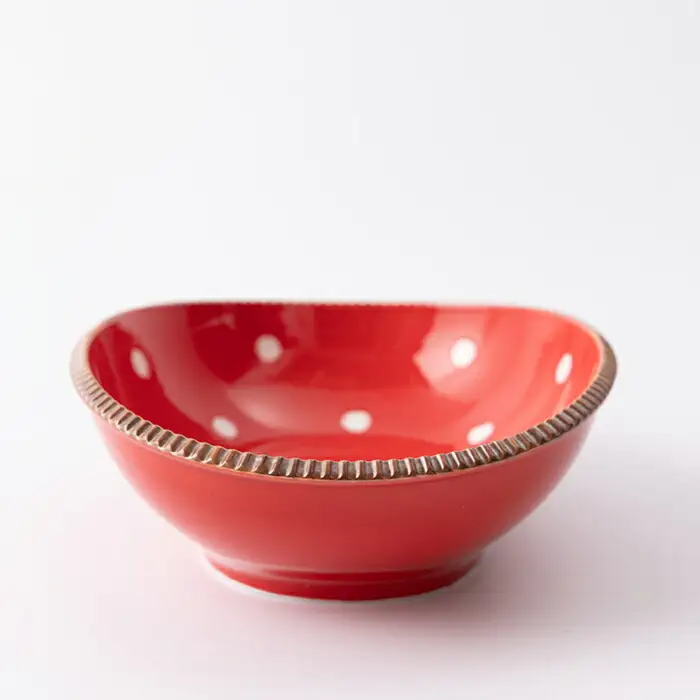 いげ皿 楕円鉢赤水玉 20cm 1点 NAZ509 やきもの 食器