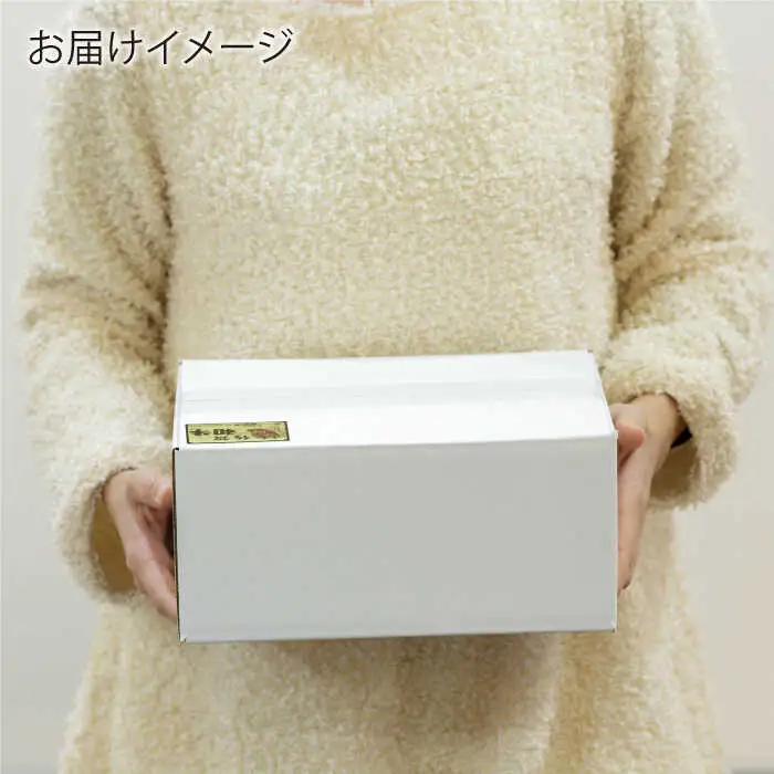【定期便】牛肉切り落とし 600g NAC126 牛肉 全6回
