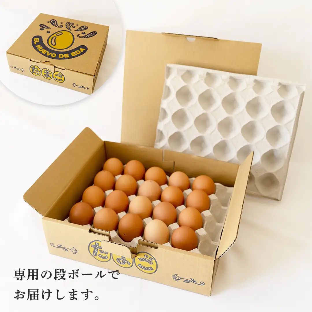 【12ヶ月定期便】枝さんち の たまご 20個×12回 合計240個 定期便 産地直送 たまご 玉子 生卵 鶏卵 タマゴ 平飼い 桜川市産 茨城県産 卵 非遺伝子組換え [BT006sa]