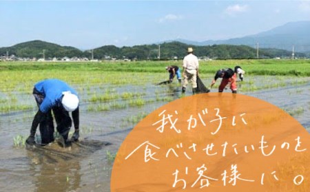 【 全3回 定期便 】米 旋風 ヒノヒカリ 玄米 5kg 《糸島》【百笑屋】 [ABF032] 米 お米 玄米 定期便 ひのひかり