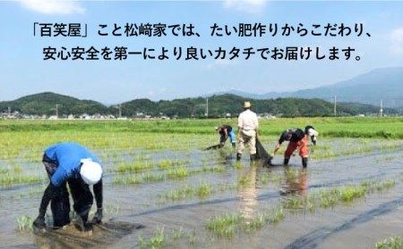 【 全3回 定期便 】二丈の 赤米 ブレンド 5kg  《糸島》 【百笑屋】 [ABF038] 米 お米 白米 赤米