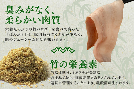 ブランド豚「ばんぶぅ」小分け 切り落とし 1kg（500g×2パック） 冷凍便 1キロ たっぷり 豚肉 豚切り落とし 豚切落し 豚こま切れ 豚小間切れ 豚細切れ 豚こまぎれ ぶた肉 ブタ肉 国産 茨城県産 ギフト プレゼント お祝い ご褒美 42-AT