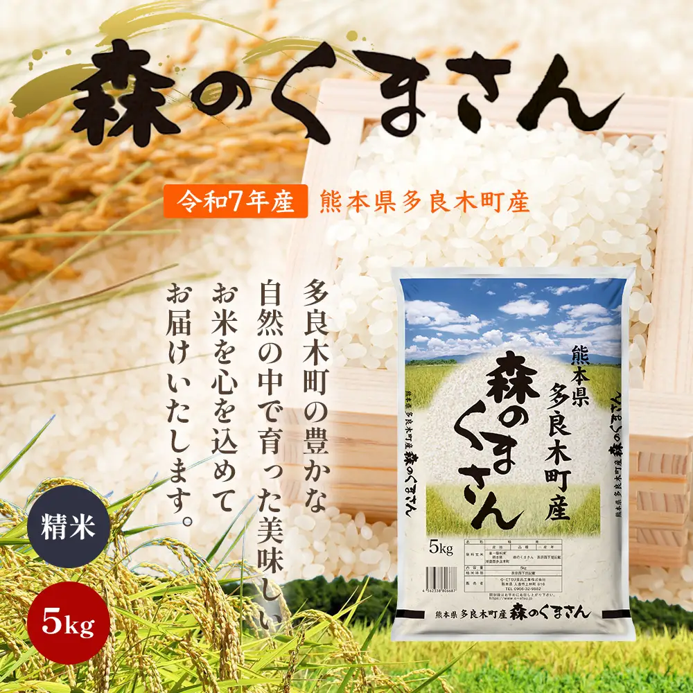お米 令和7年産 熊本県 多良木町産 森のくまさん 5kg  【 米 おこめ 熊本県産 球磨産 うるち米 おいしいご飯 ライス 美味しいお米 精米 白米 美味しいお米 新米 】053-0672