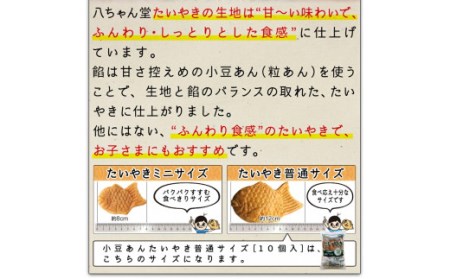 T9 小豆あん（粒あん）普通サイズ たいやき (10個入) たい焼き おやつ 和菓子 福岡県 みやま市