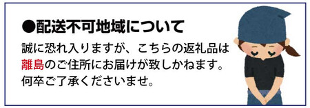 【先行予約】ピオーネ和歌山県産2～3房/箱（計1.2kg） / ぶどう 葡萄 ブドウ 産地直送 農家直送 フルーツ 果物【mat306C】