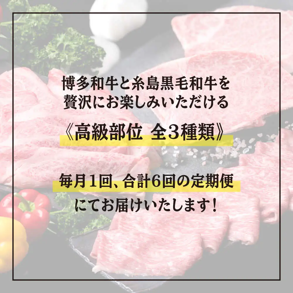 【全6回定期便】A4 ランク 博多 和牛 シャトーブリアン 180g×2枚 & A4 ランク 糸島 黒毛 和牛 肩ロース 500g & モモ肉 500g 糸島市/糸島ミートデリ工房 [ACA107] 高級部位 霜降り 国産