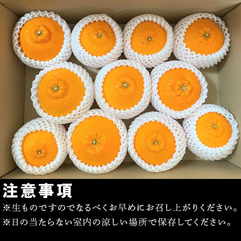 『先行予約』【令和9年2月中旬より順次発送】唐津産 不知火(琥珀) 約5kg(約16～20玉)