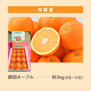 村田果樹園 【贈答用】完熟網田ネーブル 約3kg（8玉～10玉） _U101-0016