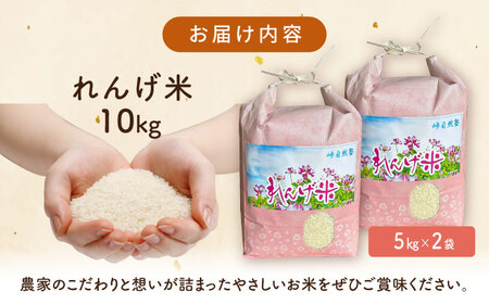 【令和7年度米】栽培期間中農薬不使用 農家のおいしいお米 10kg（5kg×2袋）【浅田峠自然塾】 [EA05]