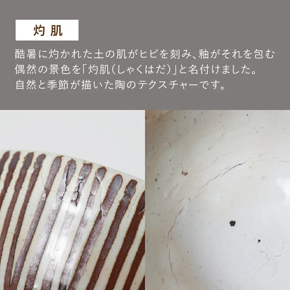 【波佐見焼 マルヒロ】BARBAR サビ十草 丼ペアセット（2点） [EB125] 波佐見焼