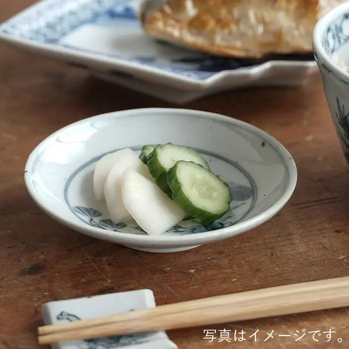 【波佐見焼】DINOSAUR 豆皿 小皿 4個セット 食器 皿 【studio wani】 [MB21]