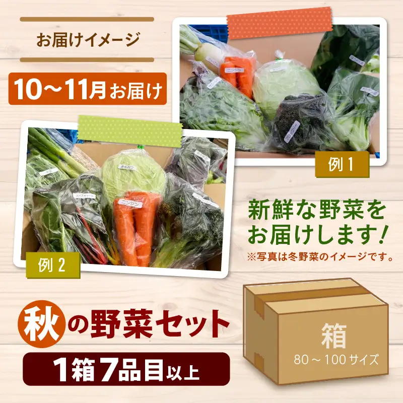 【先行予約】農家直送 秋野菜セット 1箱 7品目以上 《元気に育った新鮮野菜！》／ 福井 あわら市 季節 秋 野菜 ボックス BOX セット セレクト 農家 おまかせ 多品目 旬 詰め合わせ ※2026年10月下旬以降発送 [aw028-a010]