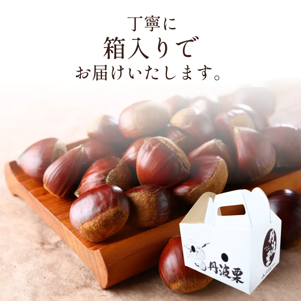 丹波市産　丹波栗　3L・2kg