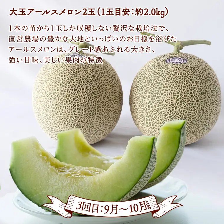 《 2027年 2月下旬開始 》全4回 定期便 贅沢 フルーツ 満喫コース  KEK 国産 トマト フルーツトマト スイカ いちご メロン くだもの 果実 春 夏 秋 冬 特選 厳選 アド街ック天国 アド街 グッドモーニング 黄金のワンスプーン 王様のブランチ [BC056sa]