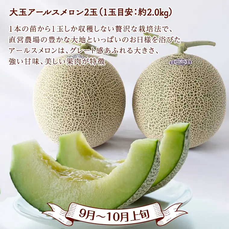 【 定期便 】【 2026年9月上旬から発送開始 全4回 】 数量限定 贅沢 フルーツ 満喫コース 旬の果実 旬のフルーツ くだもの 果実 トマト フルーツトマト スイカ いちご メロン 特選 贅沢 厳選 定期便  [BC057sa]