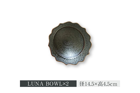 【美濃焼】LUNA プレート・ボウル 3形状 各2点 計6点セット【ヤマ吾陶器】食器 皿 鉢 パスタ皿 カレー皿 サラダボウル ワンプレート メインディッシュ ランチ ディナー 上品 高級感 おしゃれ レンジ対応 食洗機対応 送料無料 [MCE006]