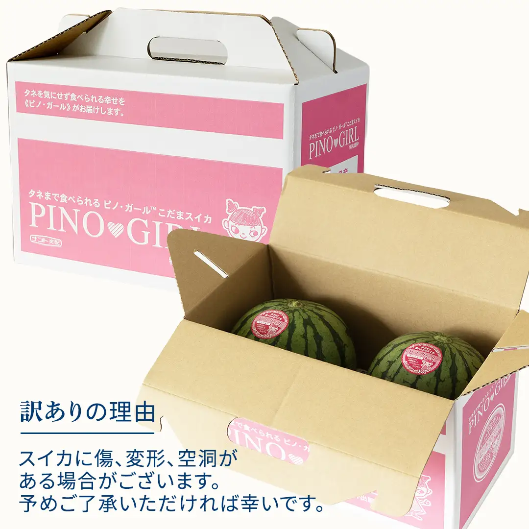 《 2027年 収穫分 》 訳あり タネが気にならない 小玉スイカ ピノ・ガール 2玉 先行予約 国産 KEK 小玉 スイカ すいか 小玉すいか こだますいか ピノガール 国産 西瓜 フルーツ 果物 くだもの 訳アリ 不揃い 農家直送 旬 甘い 人気 産直 昼めし旅 [BC059sa]