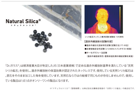 Dr.ガウス スタンダードグレード　Sサイズ