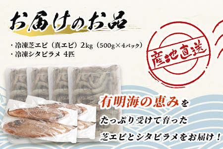 冷凍芝エビ（真エビ）2kg（500g×4パック）＆有明海産 シタビラメ約150g×4尾【有明海の恵】簡単調理 セット D-177