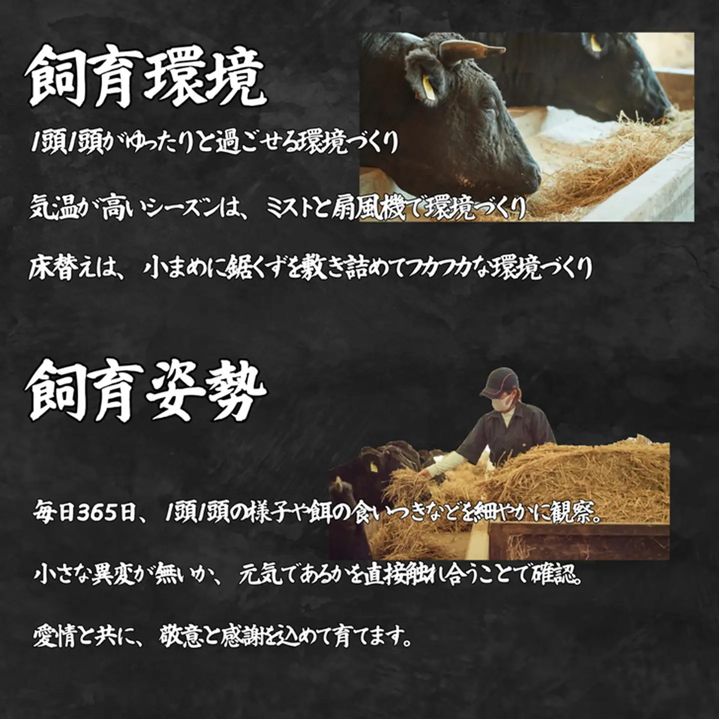 【定期便6回】佐賀牛 赤身焼肉セット 600g：C117-018