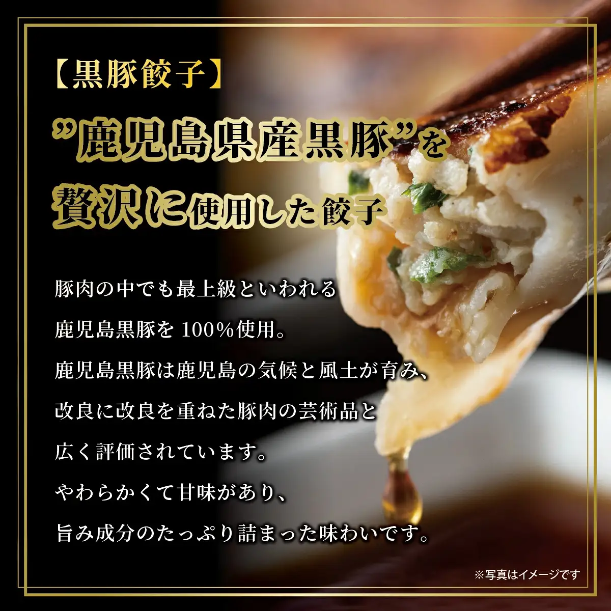 芦屋 伊東屋謹製「神戸牛餃子・黒豚餃子」各1折セット (たれ付)