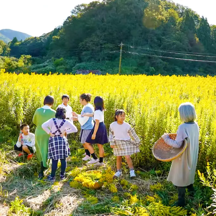 SANBE Botanicals〈セイタカアワダチソウ〉ファブリックウォーター2本セット【ファブリックウォーター 2本 セット 除菌消臭スプレー ギフト プレゼント】